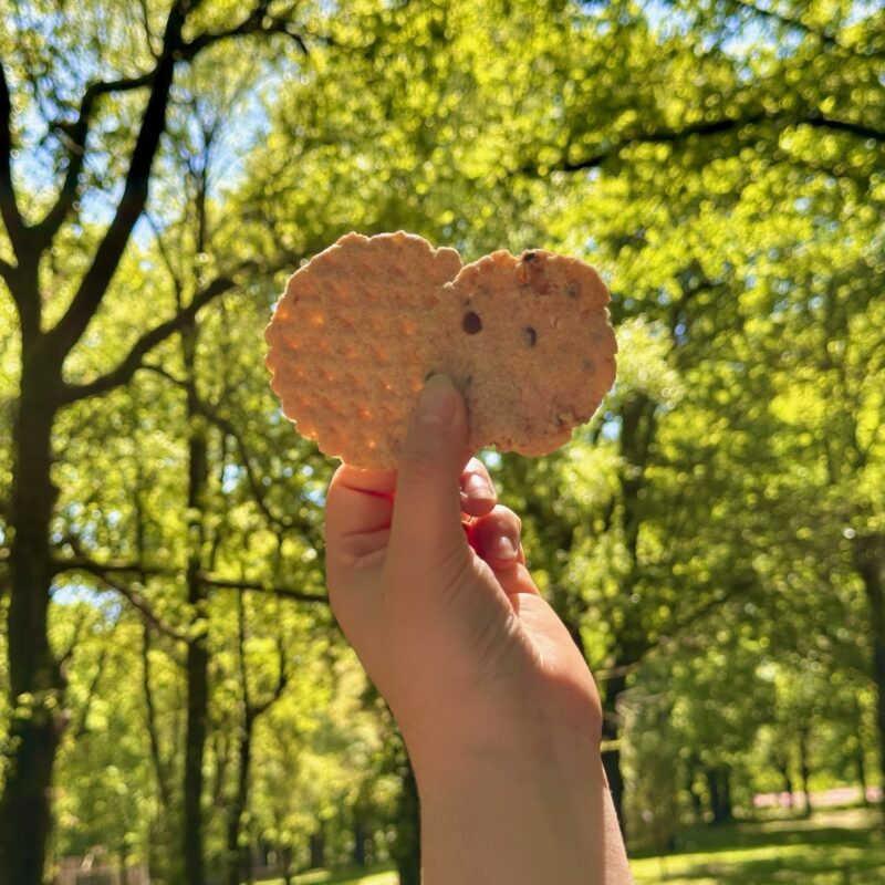 Galletas tradicionales gallegas con diseño artístico para celebrar las Letras Galegas